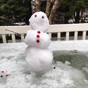 Meet your Posher, Carole